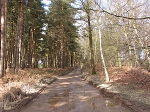 The Peddars Way Long Distance Trail