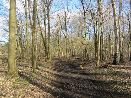 The Peddars Way Long Distance Trail