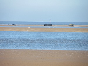 is gorleston beach dog friendly