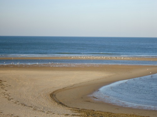 Burnham Overy Staithe Beach