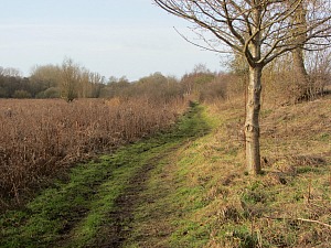 Castle Acre Circular Walk