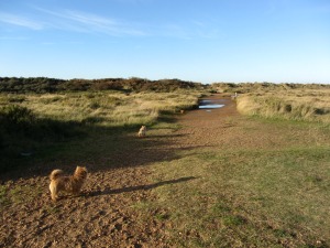 Holme Dunes