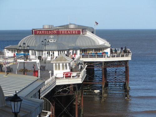 is cromer beach dog friendly