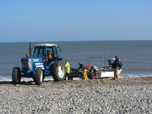 is cromer beach dog friendly