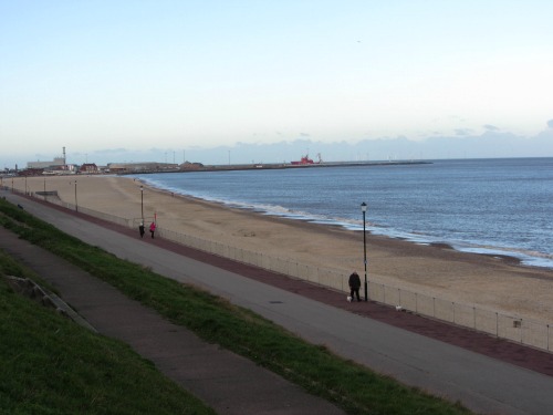 is gorleston beach dog friendly