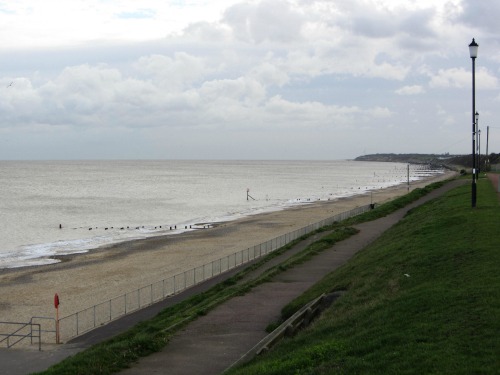 is gorleston beach dog friendly