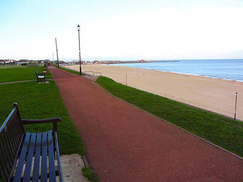 is gorleston beach dog friendly