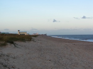 are dogs allowed at any yarmouth beaches