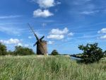 Horsey windpump