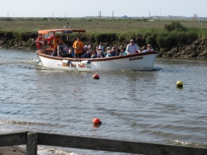 seal boat tour norfolk