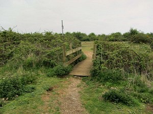 Snettisham Beach, Not Just A Beach