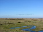 Stiffkey marshes