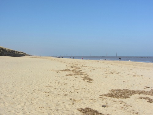 Waxham Beach, Discover The Unknown